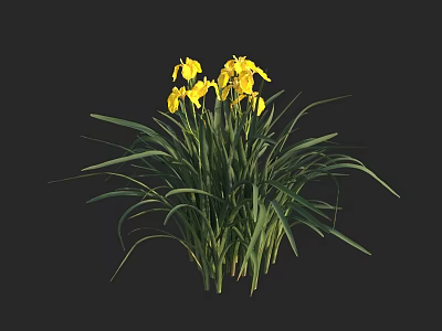 Vibrant Aquatic Plants With Yellow Flowers And Long Green Leaves 3d model