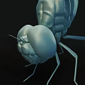 Light Colored 3D Dragonfly Model With Transparent Wings On Black Background 3d model