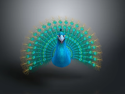 Peacock Spreading Vibrant Blue And Green Feathers With Eye Like Patterns 3d model