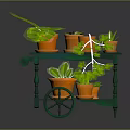 Various Green Plants In Orange Pots On Mobile Green Cart With Wheels