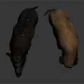 Two Black and Brown Wild Boars Standing Side by Side on Reflective Floor 3d model