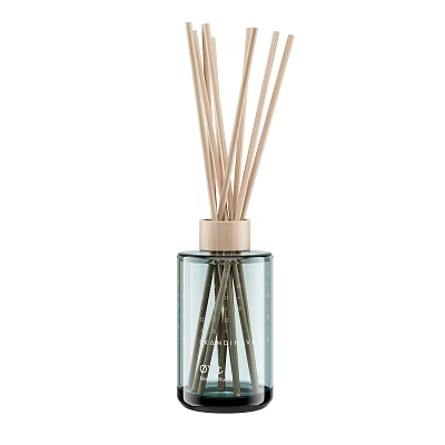 Luxury Reed Diffuser in Transparent Glass Bottle with Wooden Cap and Natural Sticks 3d model