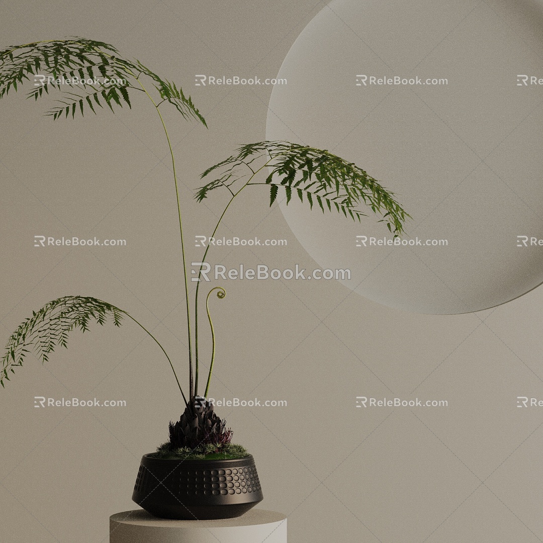 potted plant model