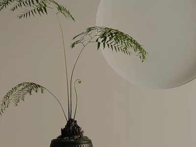 Elegant Bonsai Plant With Slender Fern Foliage In Stylish Pot For Interior Decoration 3d model