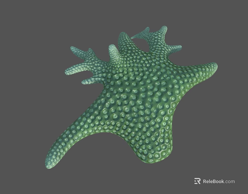 Green Starfish Aquatic Animal With Small Dots On Surface And Multiple Arms 3d model