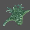 Modern Coral Green Spiny Coral 3d model