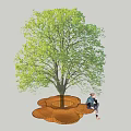 Modern tree pool tree pool stool 3d model