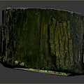 Natural Wooden Stump With Wood Stone Material Featuring Organic Grain And Green Moss Texture