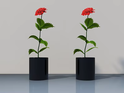 Two Potted Plants With Red Flowers And Green Leaves In Black Cylindrical Pots 3d model
