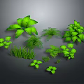 Various Green Plants With Different Leaf Shapes And Sizes In 3D Render 3d model