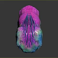 Fantasy Creature Head with Vibrant Blue Pink Purple Sharp Teeth Open Mouth and Spiky Mane