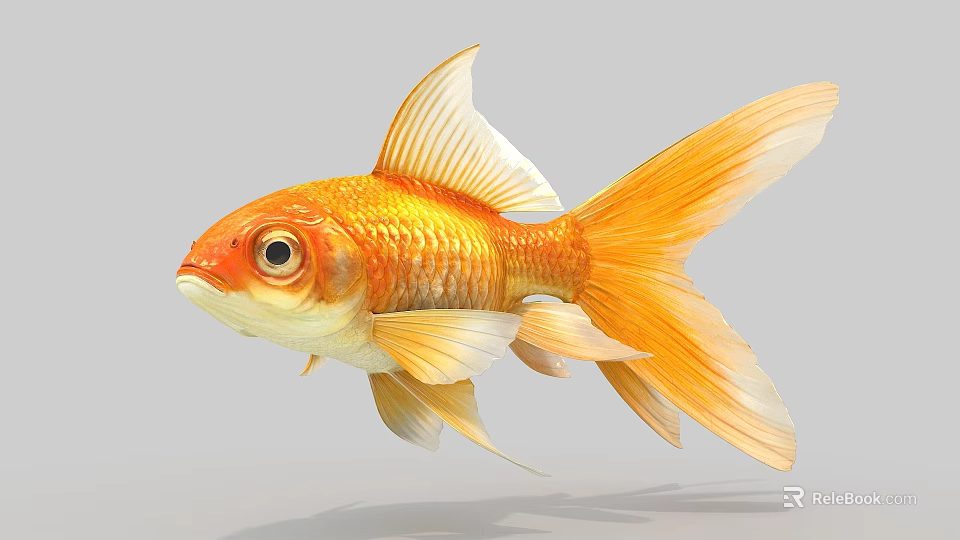 Vibrant Orange Goldfish With Long Flowing Fins And Shiny Yellow Scales In Water 3d model 