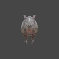 Low Poly 3D Rhinoceros Game And Movie Character Art Design