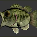 Green Spotted Aquatic Animal Fish With Big Eyes Open Mouth And Green Fins