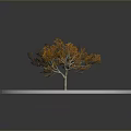 Tree With Orange Leaves And Gray Trunk On Circular Brown Ground And Gray Background