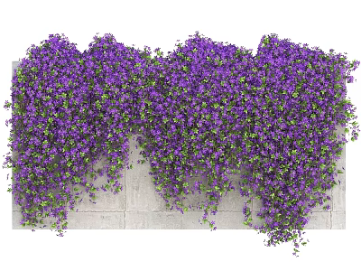 Purple Flowering Vines Covering White Brick Wall With Lush Green Leaves Creating Natural Decorative Backdrop 3d model