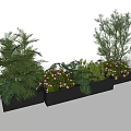 Black Flower Planters With Palm Plants Purple Flowers And Green Foliage
