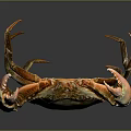 Realistic Giant Crab With Large Orange Claws And Green Shell On Dark Background