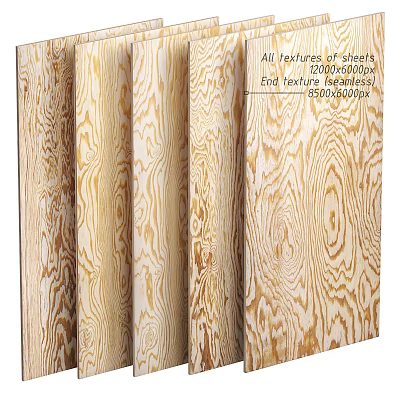 Natural Wood Grain Screen with Textured Sheets 1200x2400mm End Face Design 3d model