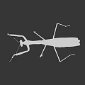 Brown Mantis Insect With Long Legs And Extended Front Limbs On Black Background 3d model