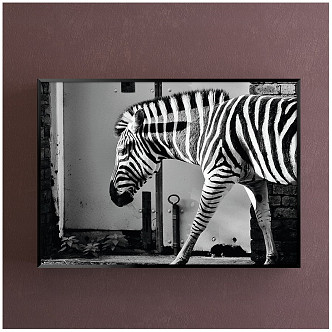 Modern animal painting gray study animal zebra decorative painting 3d model