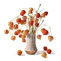 Elegant Decorative Ornament Set With White Wavy Vase Orange Red Physalis Dried Branches Black Background
