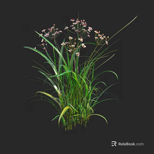 Lush Green Grass With Pink Small Flowers In Natural Growth Form 3d model 