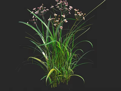 Lush Green Grass With Pink Small Flowers In Natural Growth Form 3d model