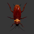 Red and yellow cockroach with detailed body structure on dark background 3d model
