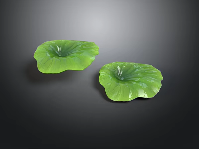 Two Vibrant Green Lotus Leaves Displayed Against Dark Background With Natural Texture 3d model