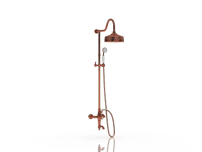 Modern shower with large shower 3d model