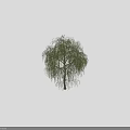Two Green Willow Trees Against Black Background With Silhouette Figures Standing Underneath 3d model