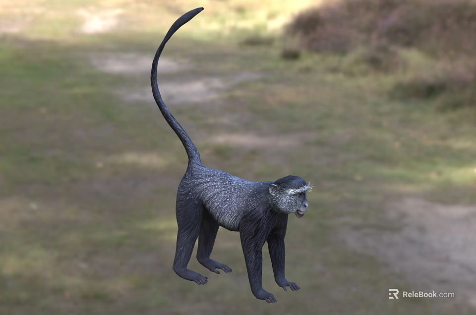 Gray Reptile With Long Tail Standing On Green Grass In Natural Habitat 3d model 