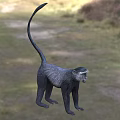 Gray Reptile With Long Tail Standing On Green Grass In Natural Habitat