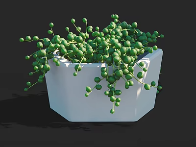 Lush Green Bonsai Potted Plant With Small Round Trailing Leaves In White Hexagonal Pot 3d model