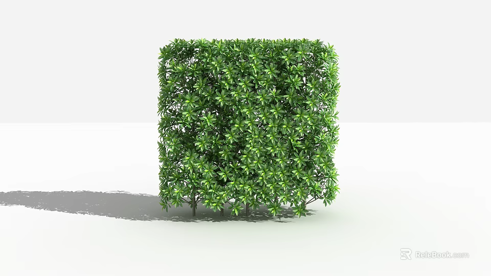 Neatly Trimmed Cubic Green Shrub Against White Background For Garden Landscaping 3d model 