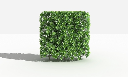 Modern shrub gray hedge 3d model