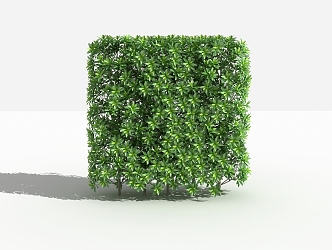 Modern shrub gray hedge 3d model