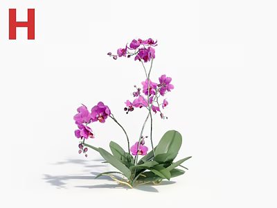 Elegant Decorative Vase With Purple Orchid Flowers And Fresh Green Leaves 3d model