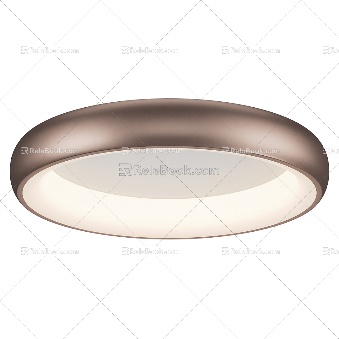 Modern Simple Ceiling Lamp Ceiling Lamp Simple Ceiling Lamp 3d model