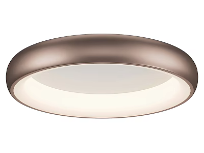 Modern Simple Ceiling Lamp Ceiling Lamp Simple Ceiling Lamp 3d model
