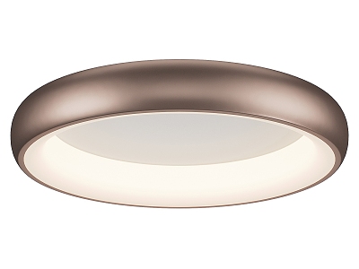 Modern Simple Ceiling Lamp Ceiling Lamp Simple Ceiling Lamp 3d model