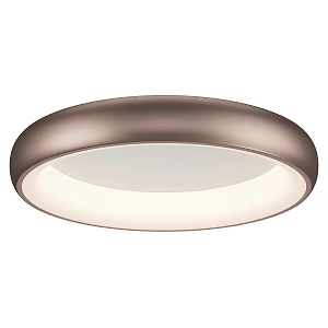 Modern Simple Ceiling Lamp Ceiling Lamp Simple Ceiling Lamp 3d model