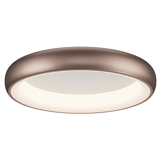 Modern Simple Ceiling Lamp Ceiling Lamp Simple Ceiling Lamp 3d model