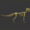 Golden Dinosaur Skeleton Model Standing On Black Background With Reflection