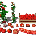 Fresh Ripe Tomatoes with Growing Plants in Wooden Crate and Sliced Pieces alongside Ketchup Bottle