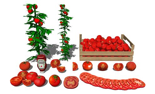 Modern tomatoes 3d model