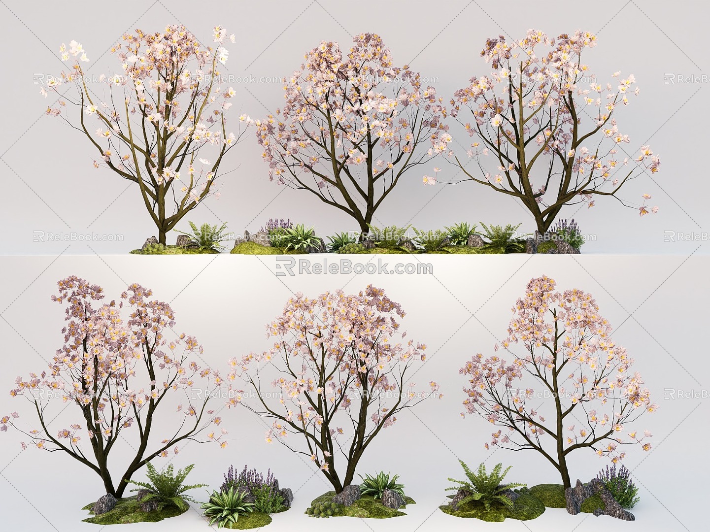 Tree Peach Tree Cherry Tree Flowering Plant Landscape Garden Tree 3d model