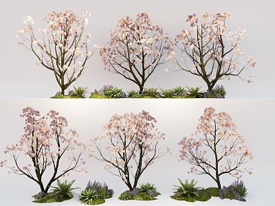 Tree Peach Tree Cherry Tree Flowering Plant Landscape Garden Tree 3d model