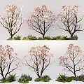 Garden Plant Combination with Pink Flowering Trees Green Small Plants and Stones